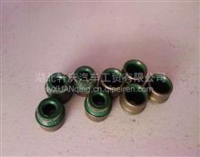 進(jìn)口油封圖片