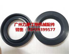 進(jìn)口骨架油封