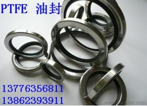 供應(yīng)蘇州進口ptfe骨架油封 摩擦小 抗干磨價格 廠家 圖片